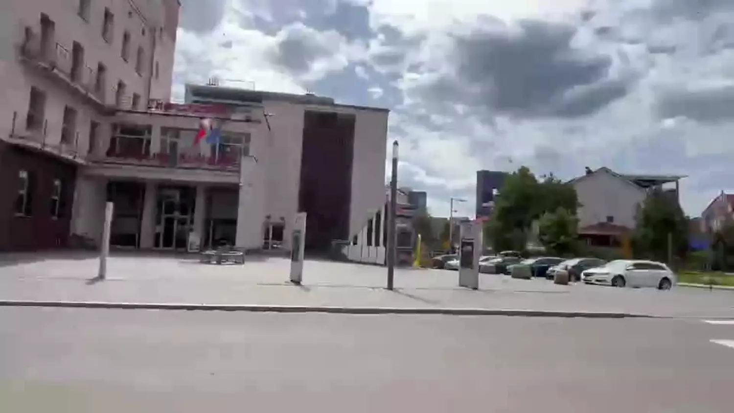Rój pszczół w centrum Chorzowa